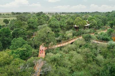 Treetop Walkway