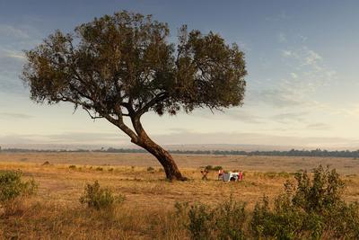 Bush Dining