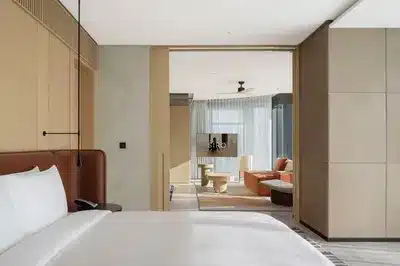 Recovery Suite