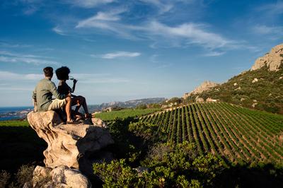Wine Tour