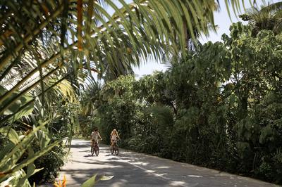 Bike Hire