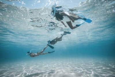 Snorkelling