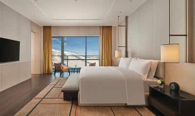 King Premium Suite