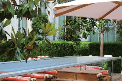 Swimming Pool and Terrace