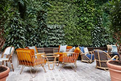 Winter Garden