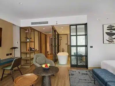 1 King One Bedroom Suite Corner City View