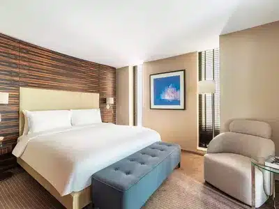 1 King Junior Suite