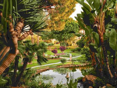 Tropical Gardens