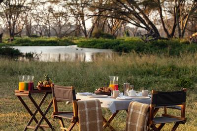 Bush Dining