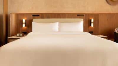 Deluxe Room, 1 King, Jungle View
