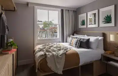 Cosy