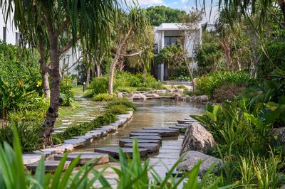 Serenity Stream Walk