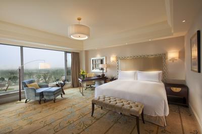 Deluxe Park View Grand King