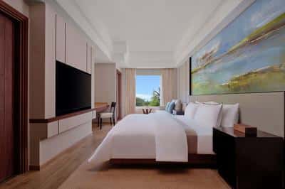 Premium Room, 1 King