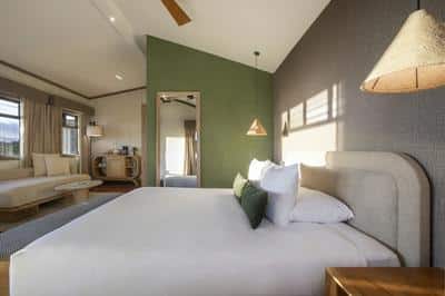 Premium Suite