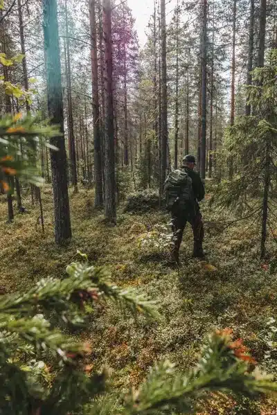 Hiking