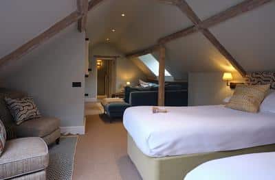 Generous Family Suite