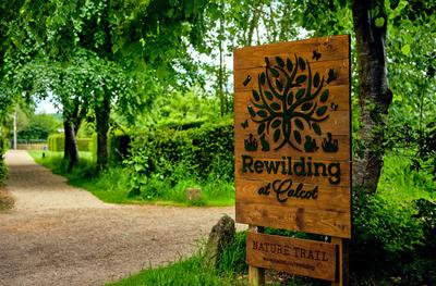 Nature Trail