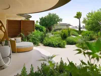 1 King Junior Suite