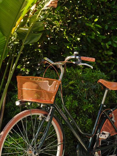 Bike Hire