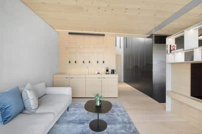 Forest Suite