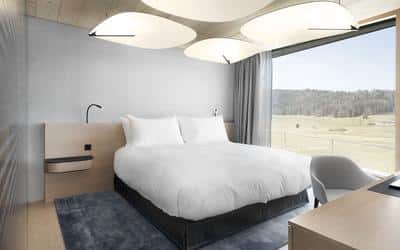 Forest Suite