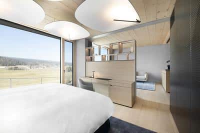 Forest Suite