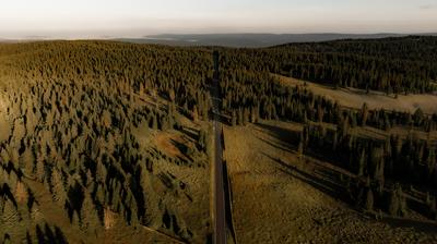 Surroundings