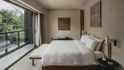 Deluxe Suite Room