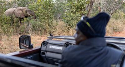 Game Drive