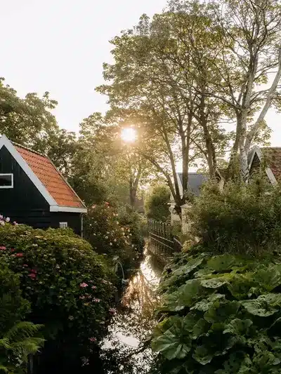 Surroundings
