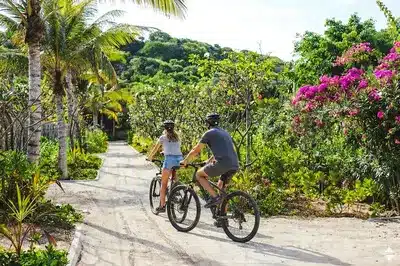 Mountain Biking