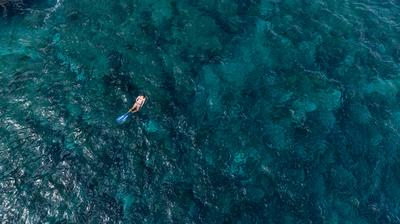 Snorkelling