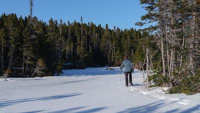 Snowshoeing