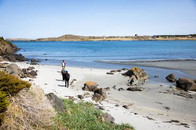 Beach Walking
