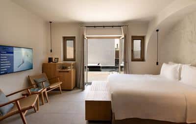 Premium Room with Terrace and Private Plunge Pool