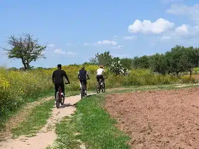 Mountain Biking