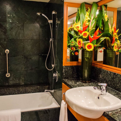 Pullman Cairns International image