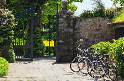 Bike rental