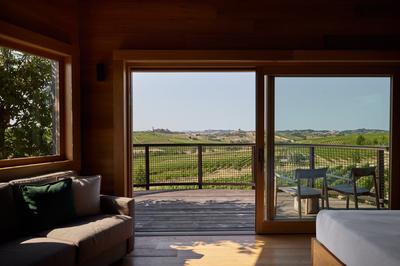 Suspended House in the Vineyards