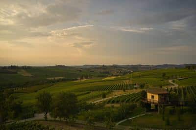 Suspended House in the Vineyards