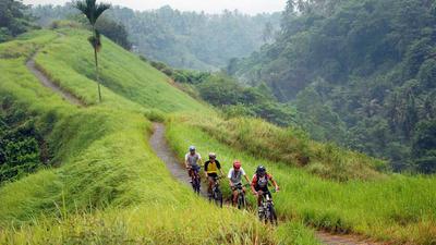 Mountain Biking