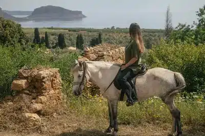 Horse Riding