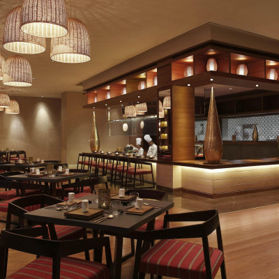 Pullman New Delhi Aerocity image