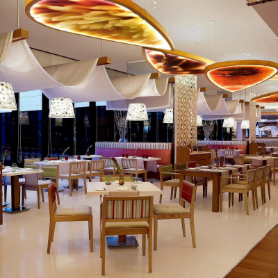 Pullman New Delhi Aerocity image