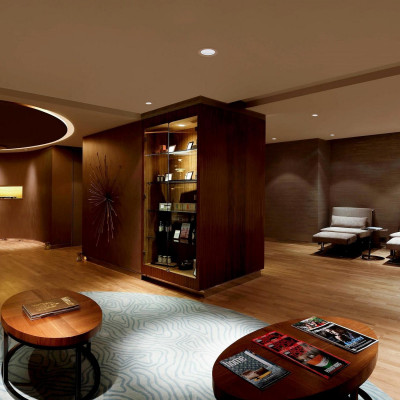 Pullman New Delhi Aerocity image