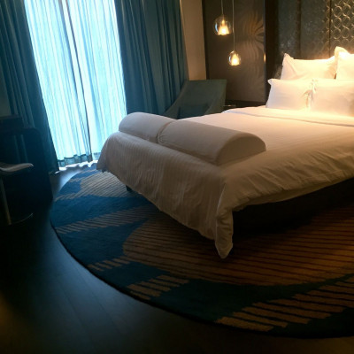 Pullman New Delhi Aerocity image