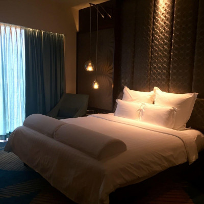 Pullman New Delhi Aerocity image