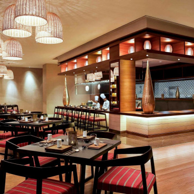 Pullman New Delhi Aerocity image