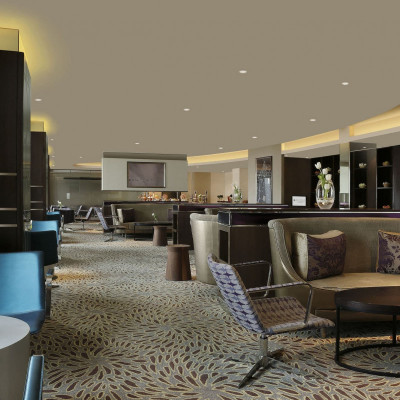 Pullman New Delhi Aerocity image